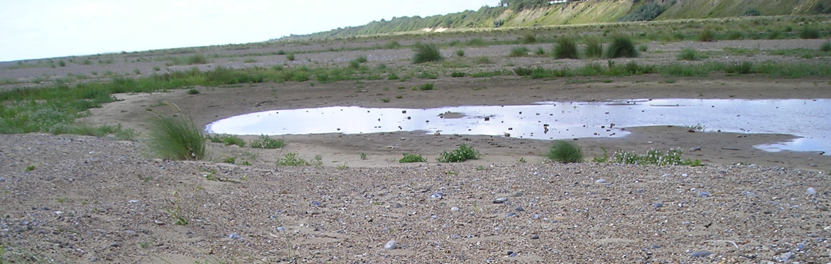 Benacre Ness